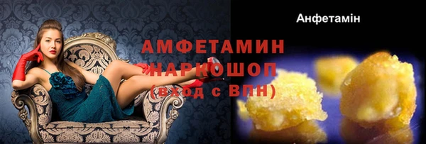 Альфа ПВП Горняк