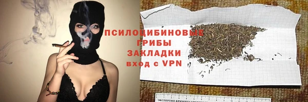 Альфа ПВП Горняк
