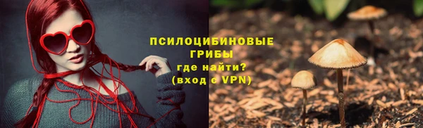 соль ск Горнозаводск