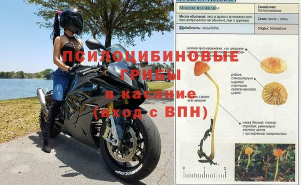 Альфа ПВП Горняк